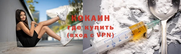 дмт Магас