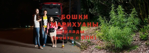дмт Магас