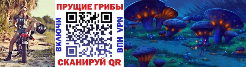 Галлюциногенные грибы GOLDEN TEACHER  Городище 